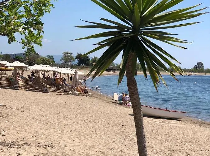 Casă la țară Dimitra's And Nasia's Psakoudia